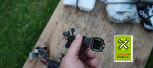 IMG_20230915_190547